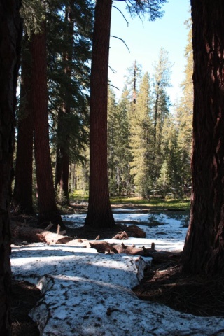 50_Yosemite_169