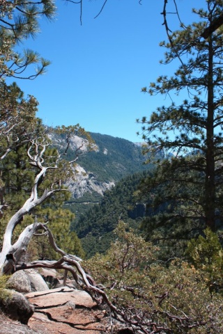 50_Yosemite_173