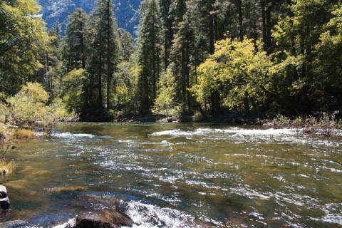50_Yosemite_181