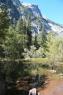 50_Yosemite_206