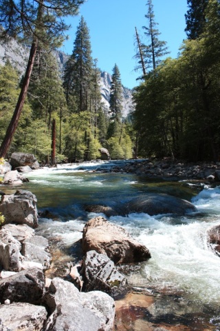 50_Yosemite_211