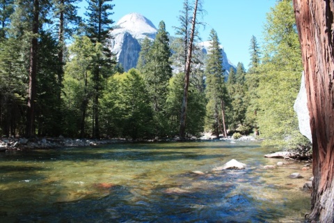 50_Yosemite_215
