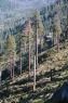 50_Yosemite_398