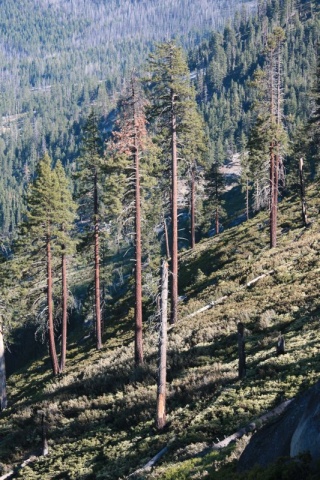 50_Yosemite_398