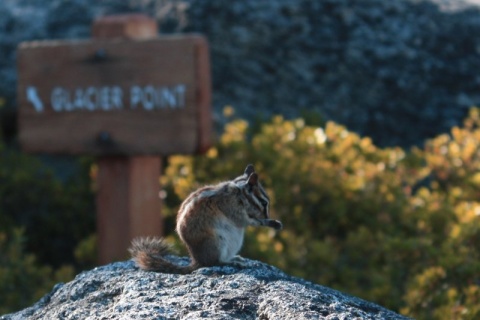 50_Yosemite_420