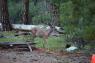 50_Yosemite_424