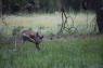 50_Yosemite_426