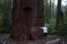 50_Yosemite_437