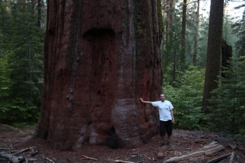 50_Yosemite_437