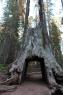 50_Yosemite_440