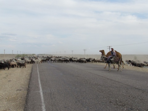Khiva_Bukhara_road_151
