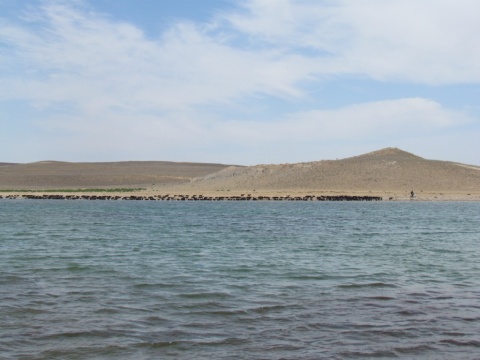 5_Aidarkul_31