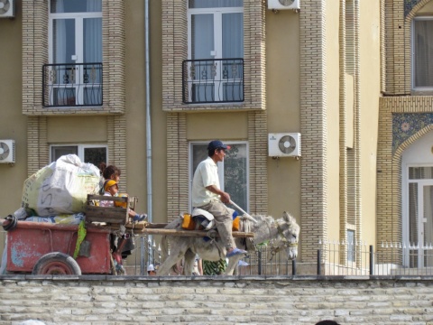 people9_donkey